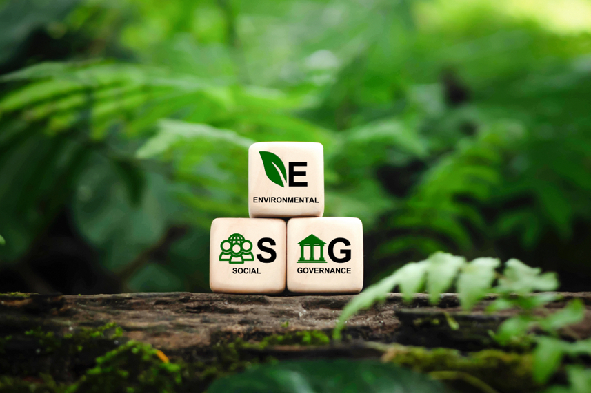 sustainability cubes in forest